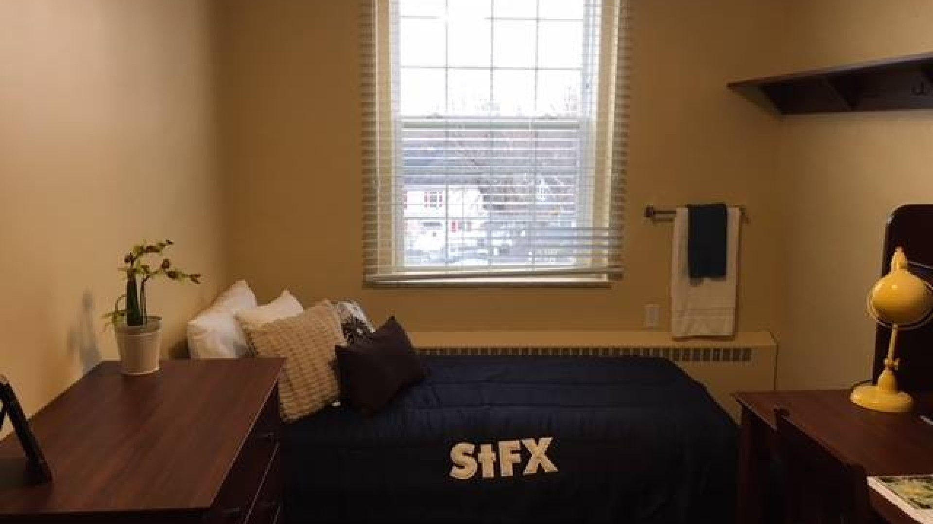 Single standard room with bed, dresser and desk