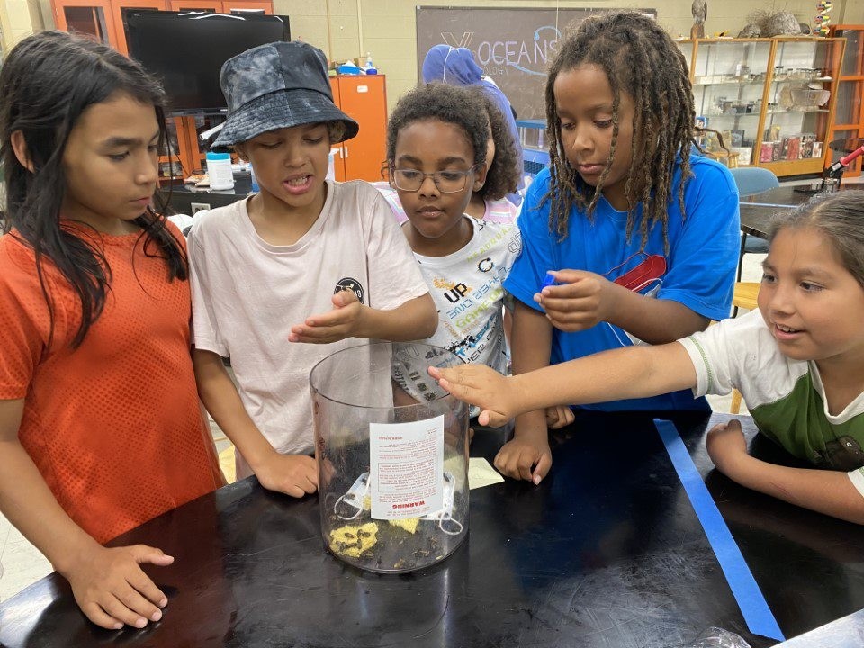 School Students Observing and Touching Insects and Ants at the Lab