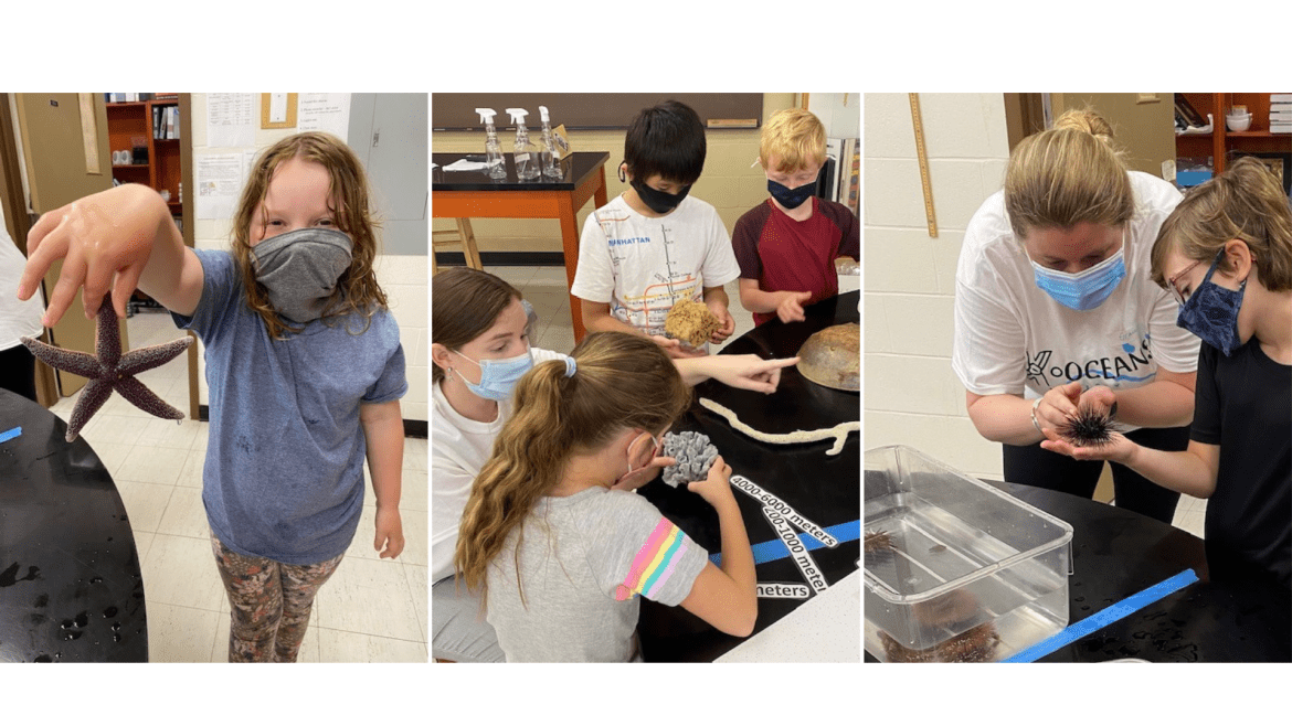 Collage of 3 Pictures of Students Learning About Animals at the Science Camp Lab