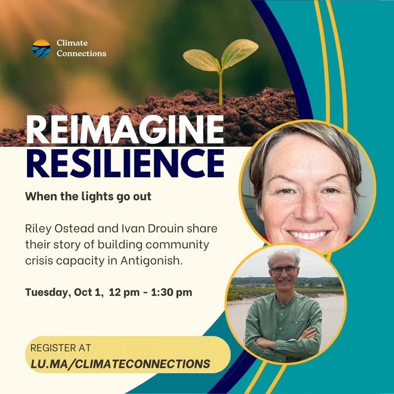 Reimagine Resilience poster aqua blue with a sprouting plant in soil. 